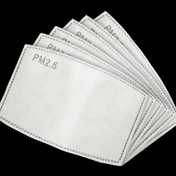 PM2.5 ACTIVATED CARBON FILTER Thumbnail